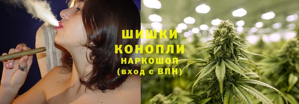 прущие грибы Дмитриев