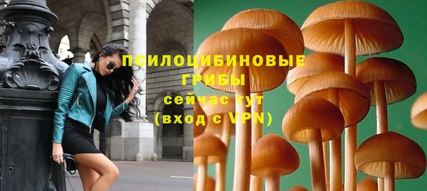 2c-b Киреевск