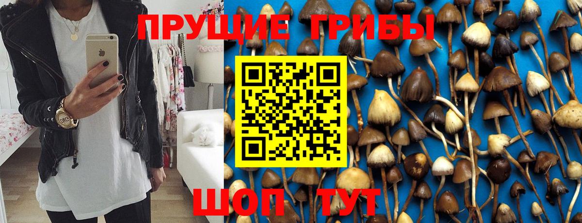 Галлюциногенные грибы мицелий  Вход с VPN  Кудрово 
