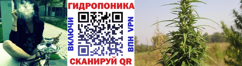 Марихуана план  Кудрово 
